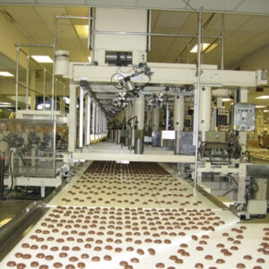 Process Engineering and Food Processing Facilities